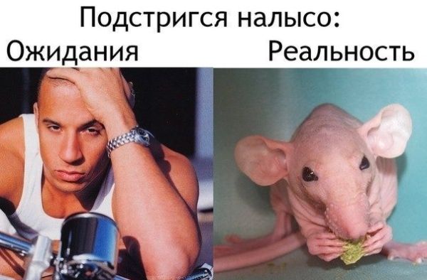 песочница-мечты-vs-реальность-удалённое-82483.jpeg